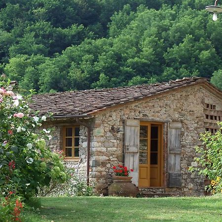 Villa Bottino By Salogi Villas San Martino in Freddana Kültér fotó
