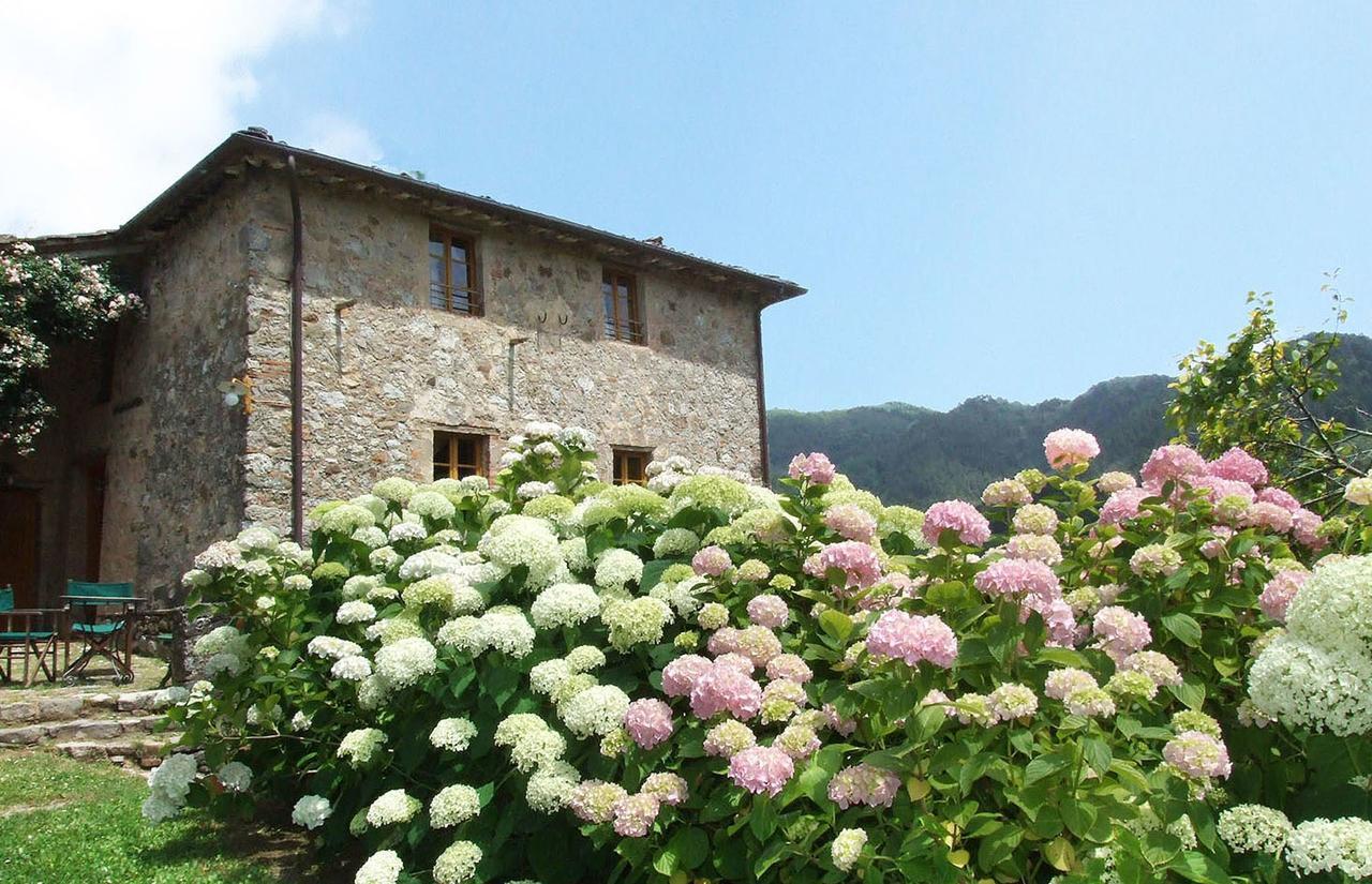 Villa Bottino By Salogi Villas San Martino in Freddana Kültér fotó